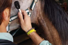 137fb26e-7f6d-4d2e-b751-f3e5371dbcb9