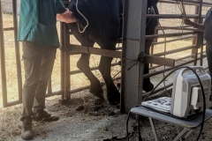 265799a6-7106-4f80-b011-3c6196ef2b34