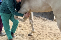 6cb088b9-979a-43fa-8df5-19aae0b0ddc7