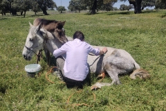 90a98b68-1d95-473a-9151-5ebba1f1fd16