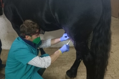 f6fe4b7f-3131-48cc-a5de-9607fd70b785