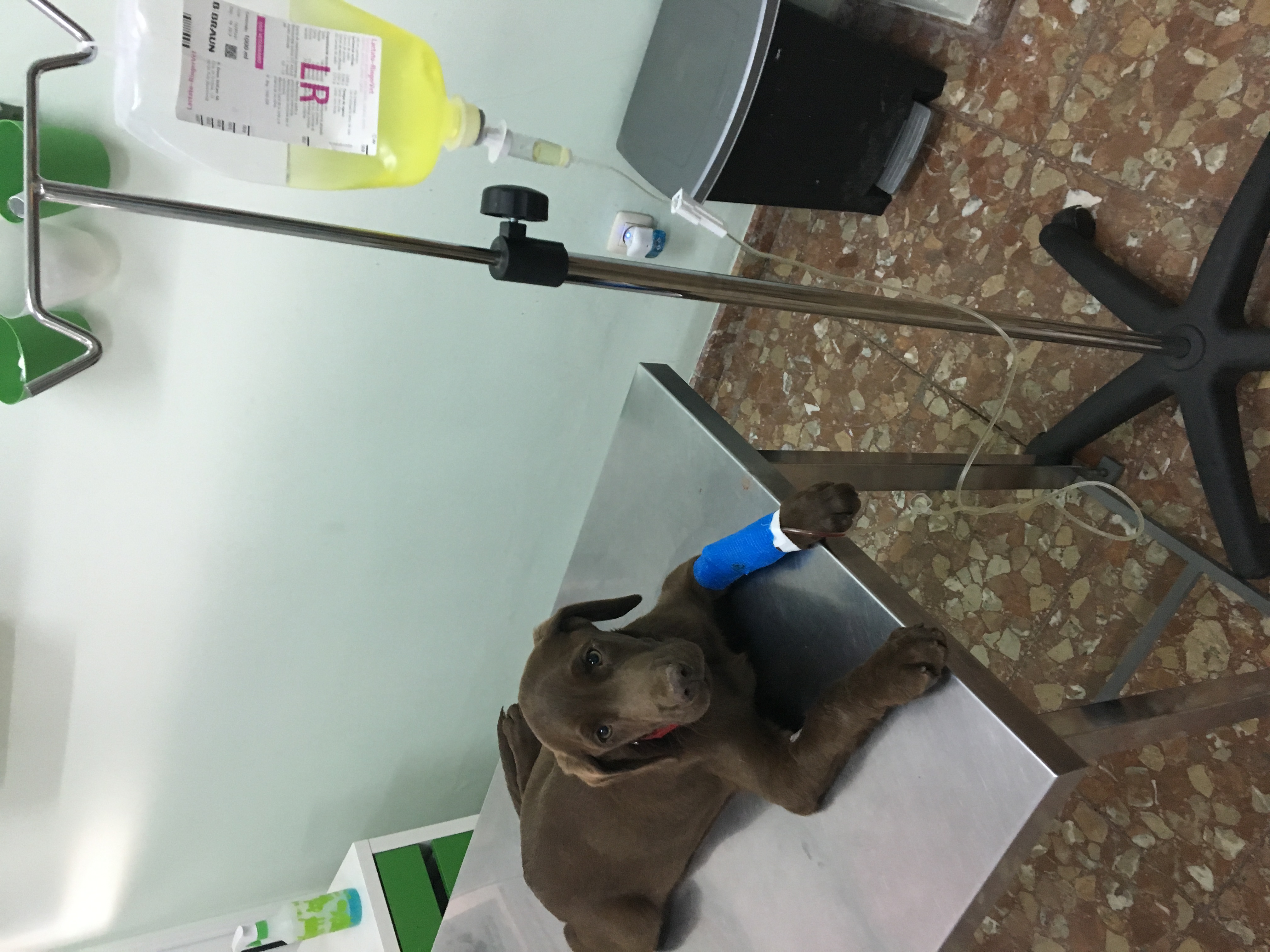 0B42834E-717A-426D-9551-3E9B2DDE6350