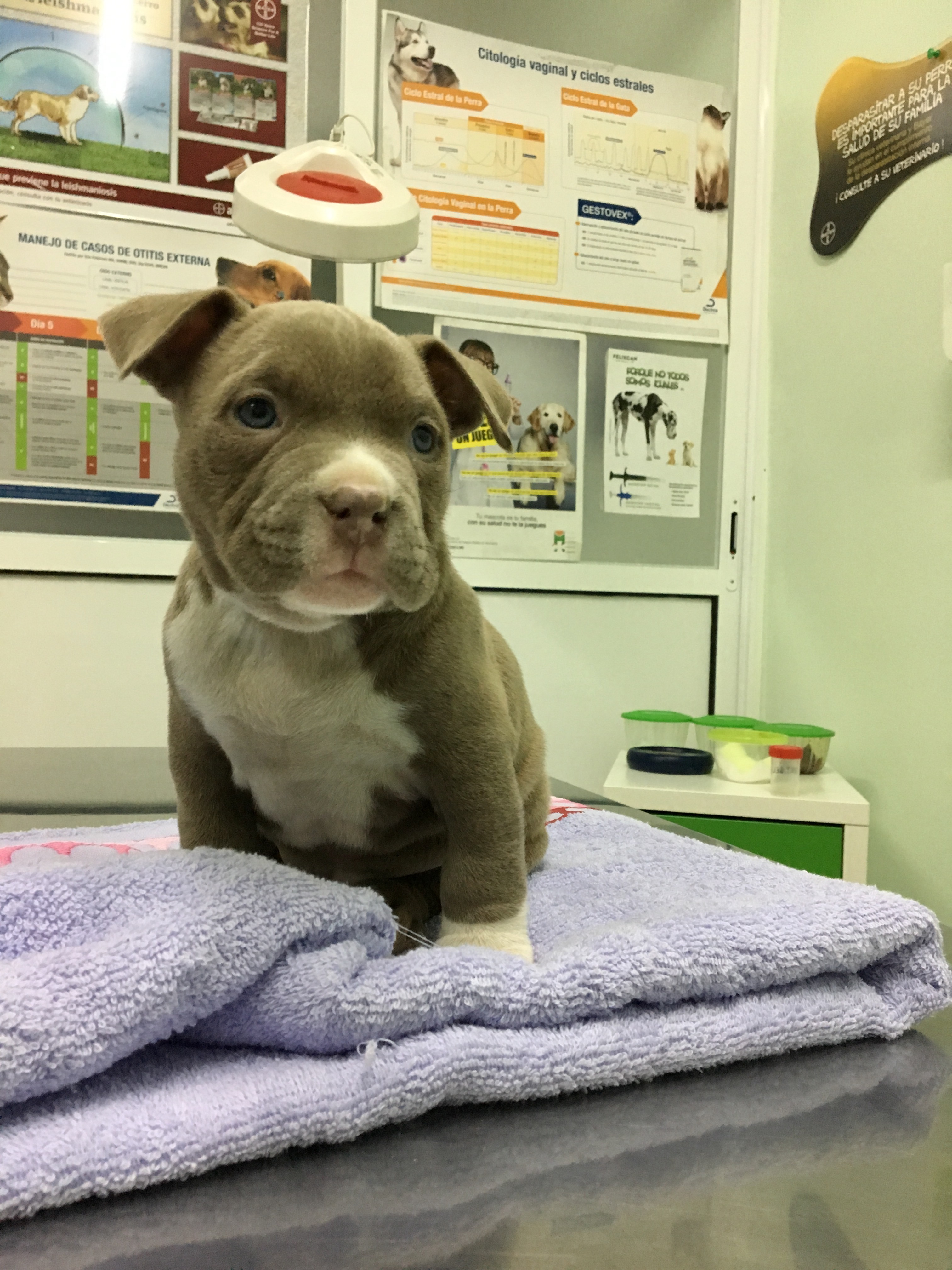 46174B31-9FE2-48D1-82F4-529FBF8BD397