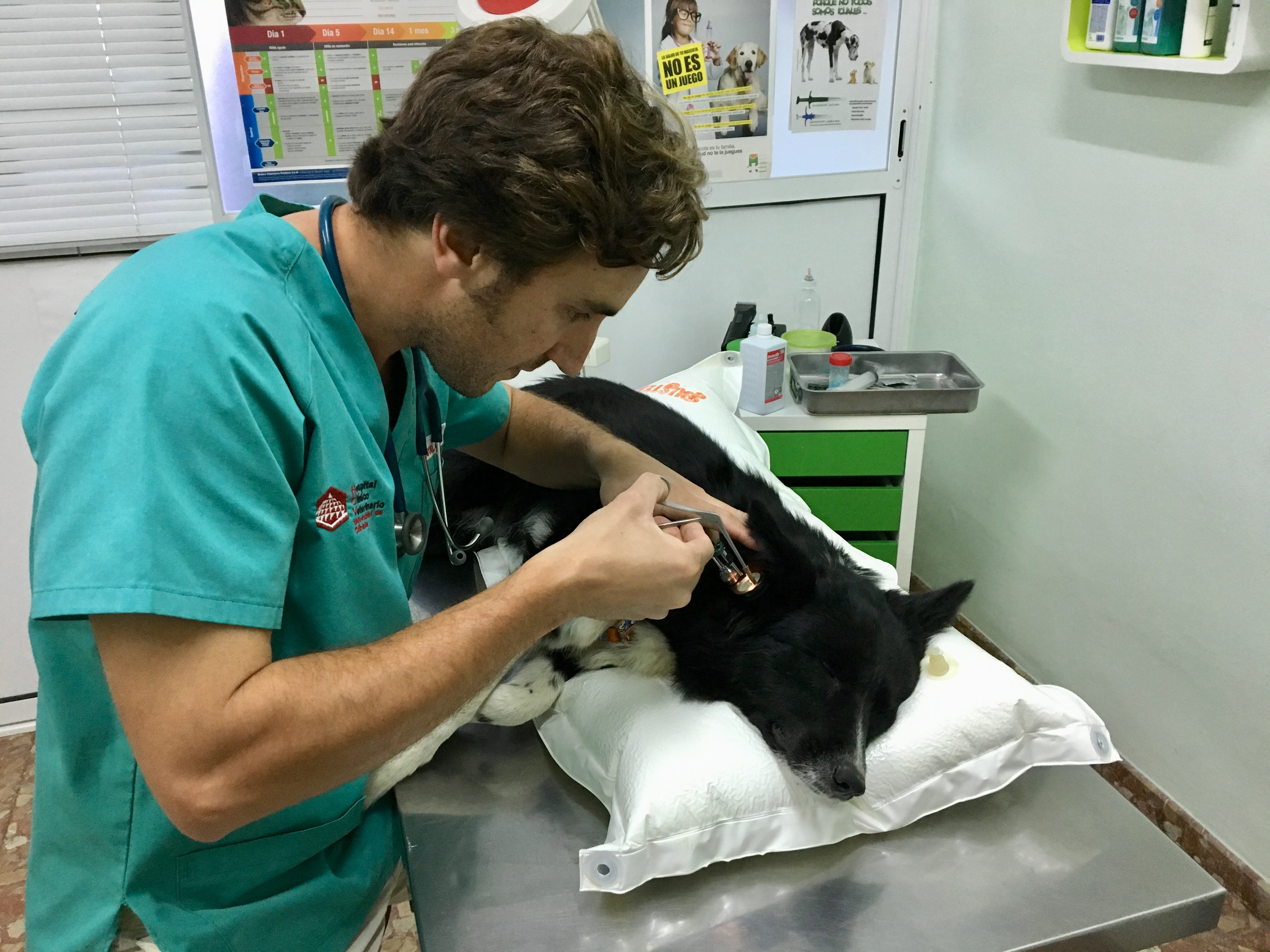 F2C204D2-34ED-45D6-BF8C-96BED4042177