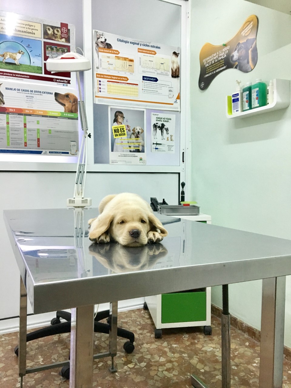 thumbnail_FullSizeRender (28)