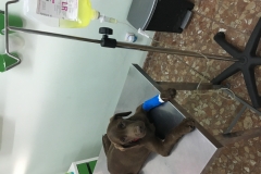 0B42834E-717A-426D-9551-3E9B2DDE6350