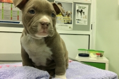 46174B31-9FE2-48D1-82F4-529FBF8BD397