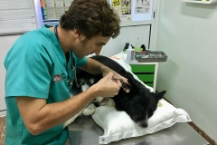 F2C204D2-34ED-45D6-BF8C-96BED4042177