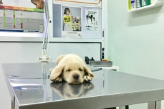 thumbnail_FullSizeRender (28)