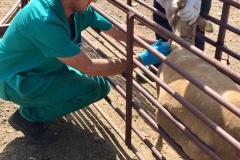 18671208_998327130269897_4622668961127857546_n