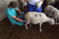 20322_623141974455083_1690724661924981075_n