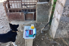 22788695_1113973022038640_1371658708243438807_n