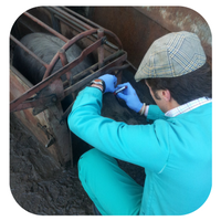 Diseño sin título (1)