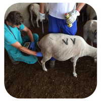 Diseño sin título (2)