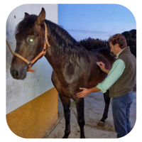 Diseño sin título (3)