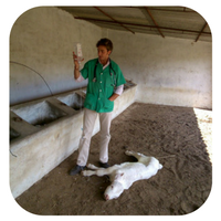 Diseño sin título (4)