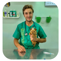 Diseño sin título (83)