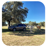 Diseño sin título (86)